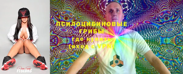 индика Верхнеуральск