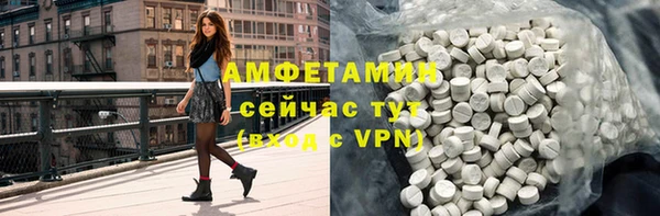 стаф Верея