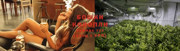 стаф Верея