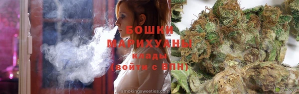 стаф Верея