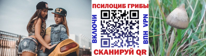 Галлюциногенные грибы мухоморы  закладки  Жуковский 